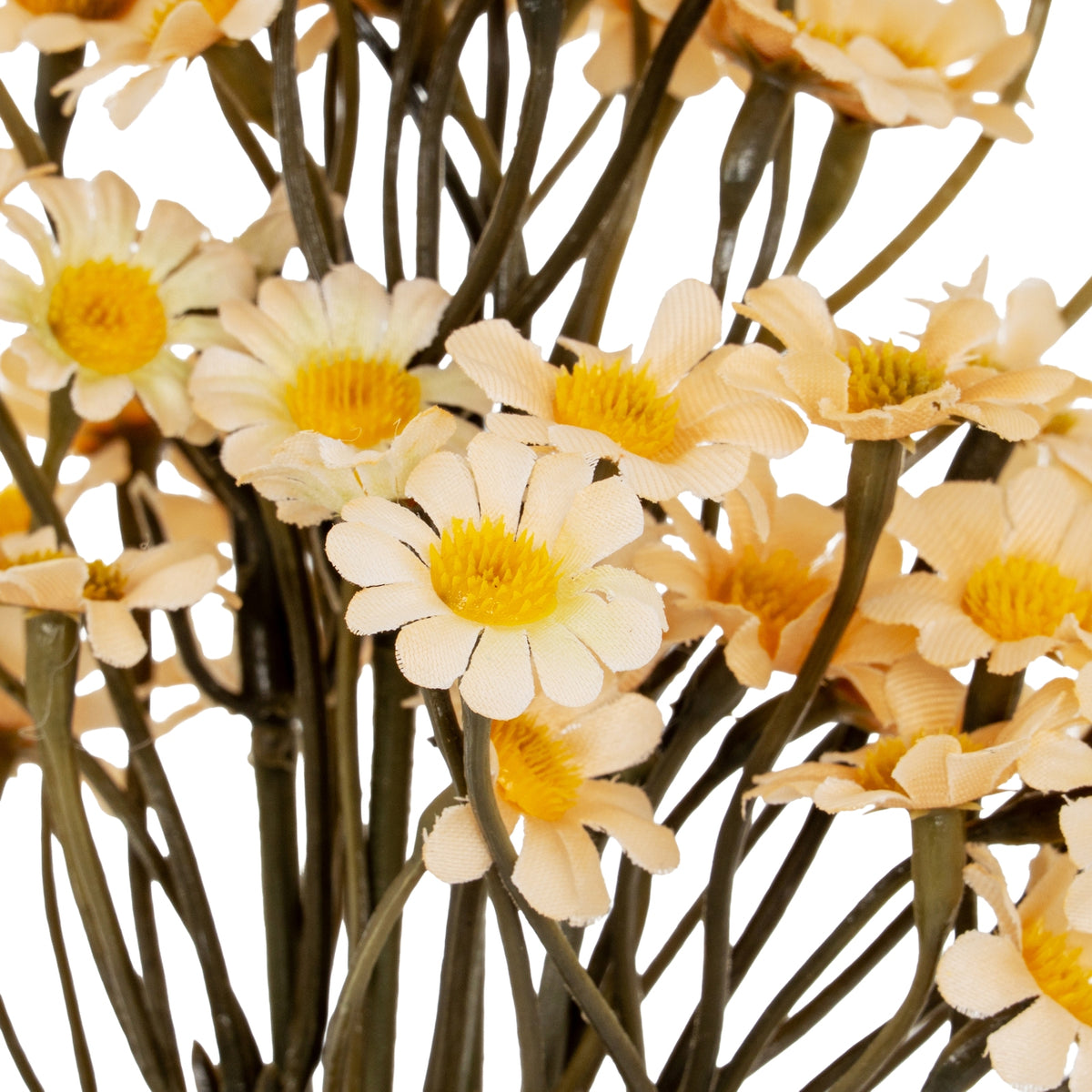 Cream Daisy Bunch image 3