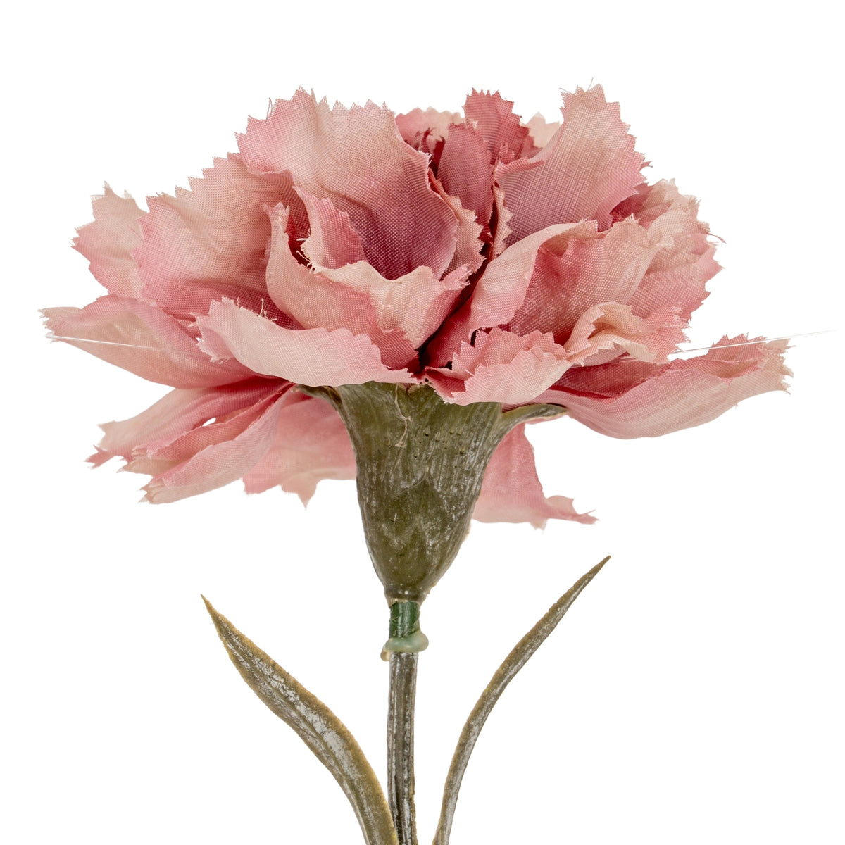 Pink Carnation Stem image 3