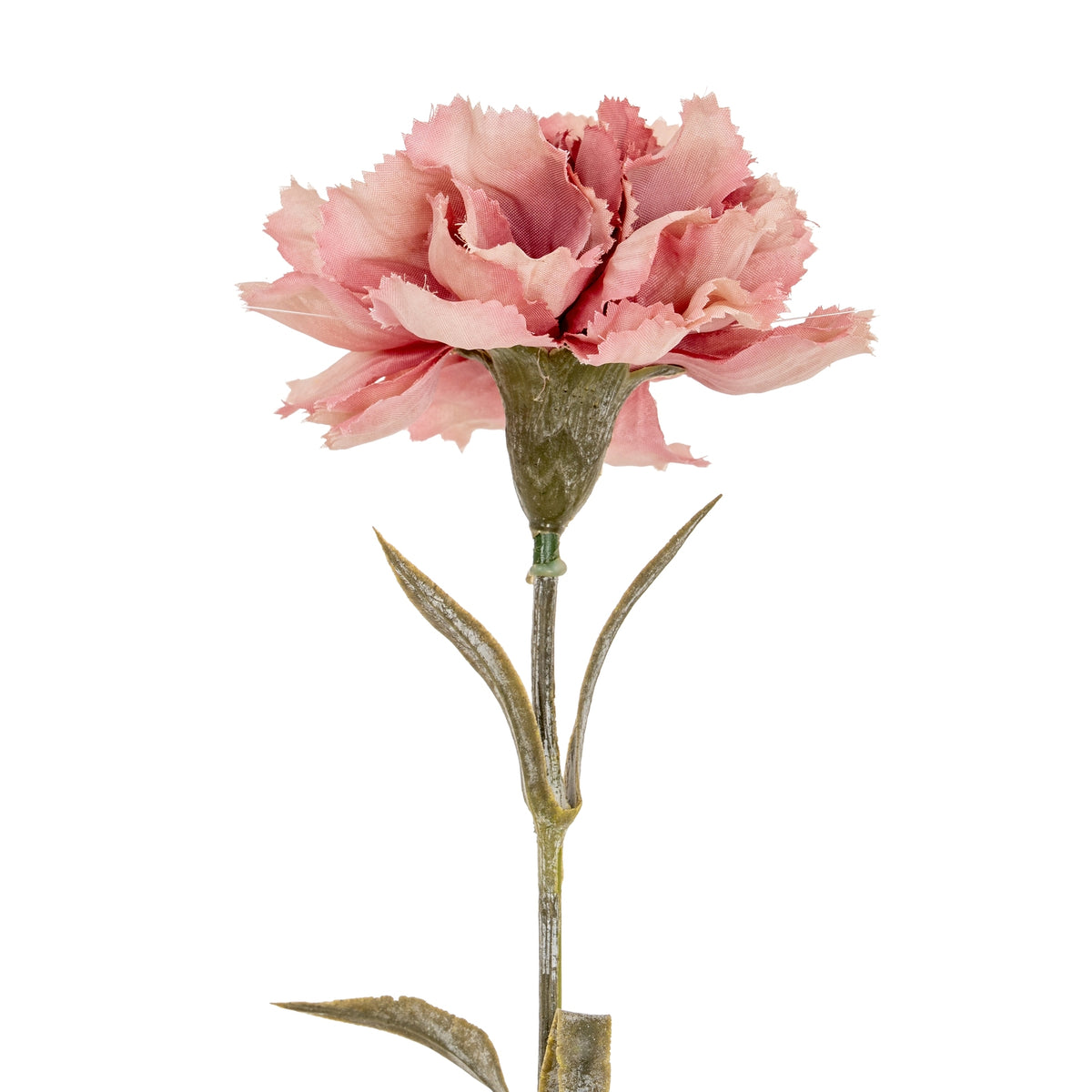 Pink Carnation Stem image 1