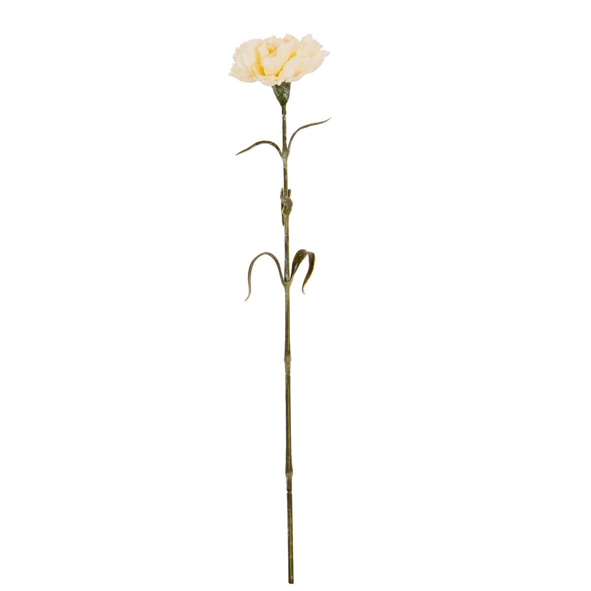 Cream Carnation Stem image 2