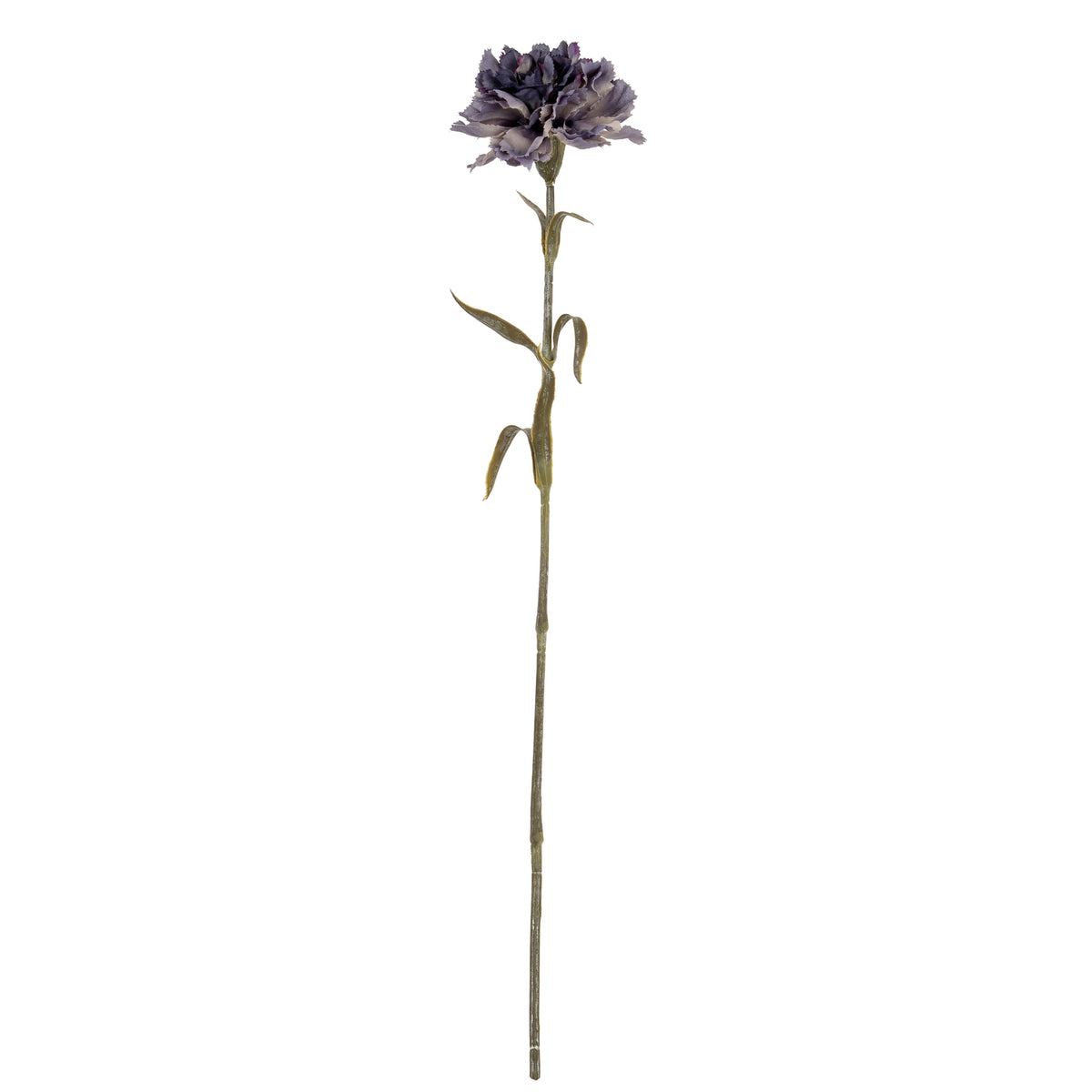 Purple Carnation Stem image 2