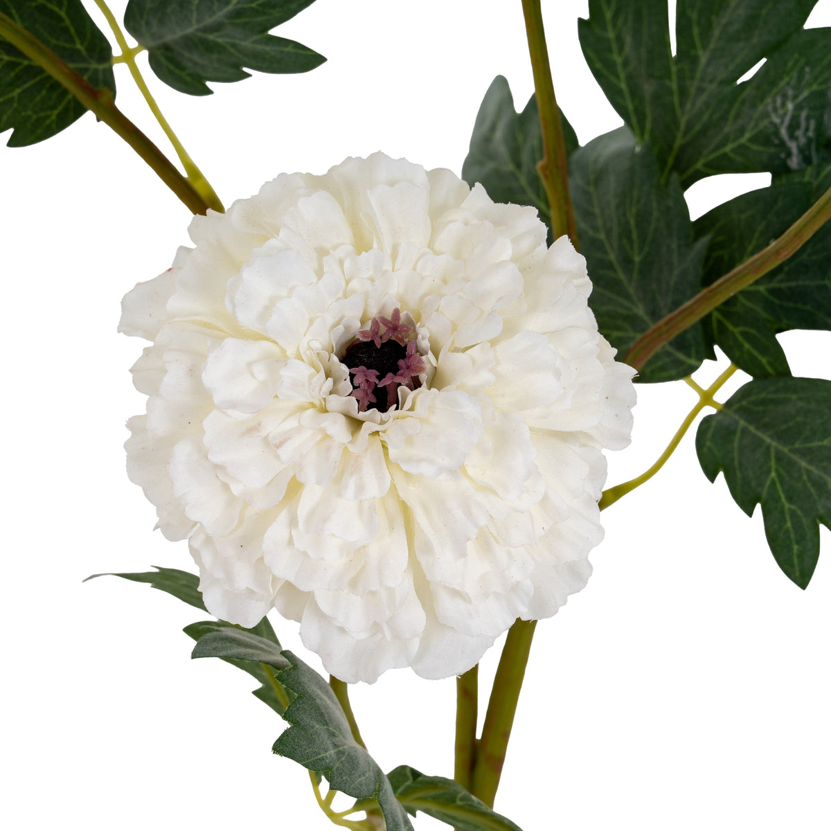 White African Marigold Large Spray image 3