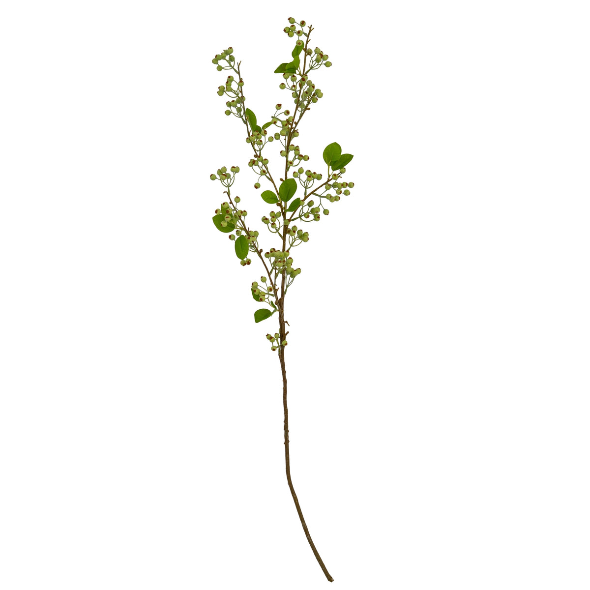 Green Mossberry Large Branch image 2