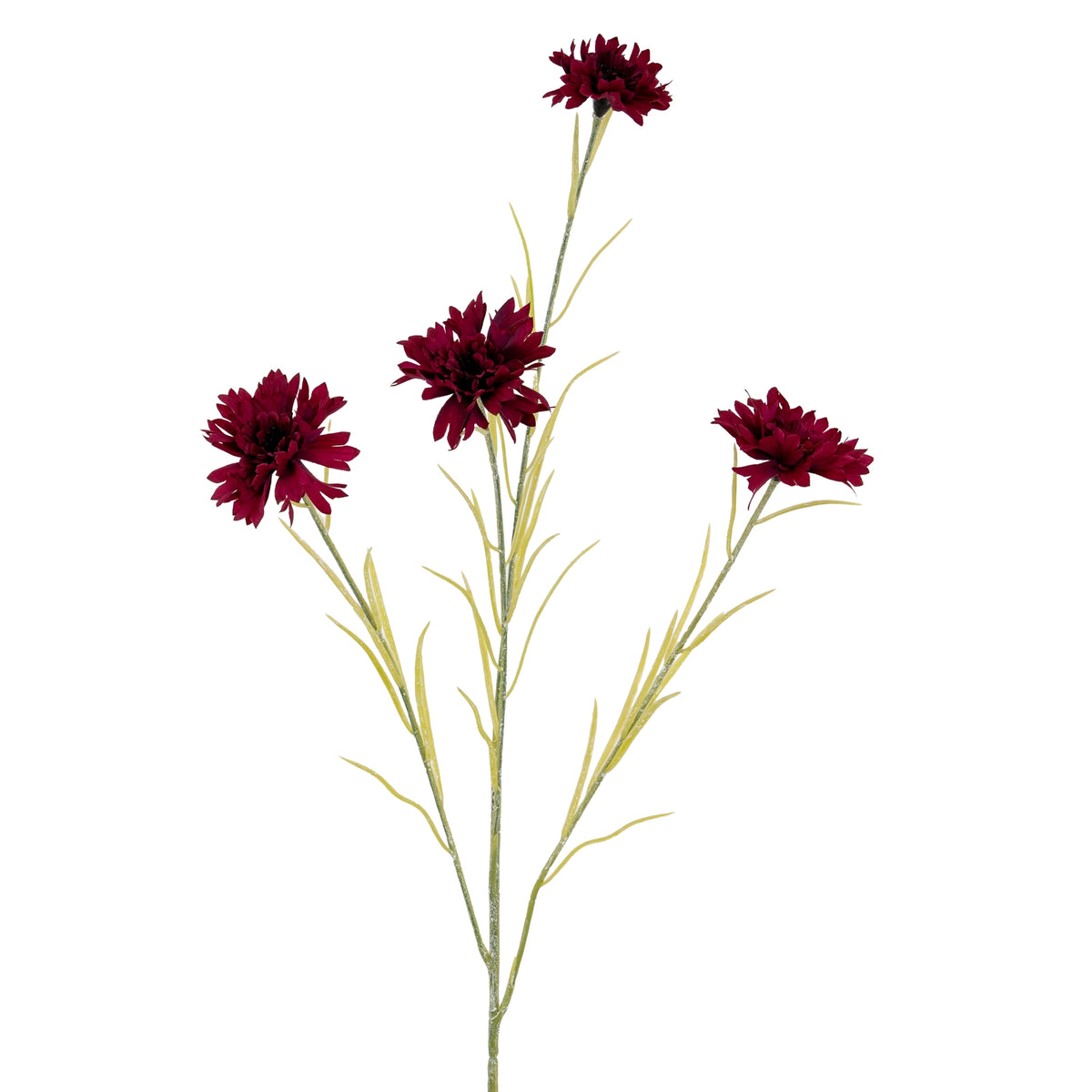 Burgundy Cornflower Stem image 1
