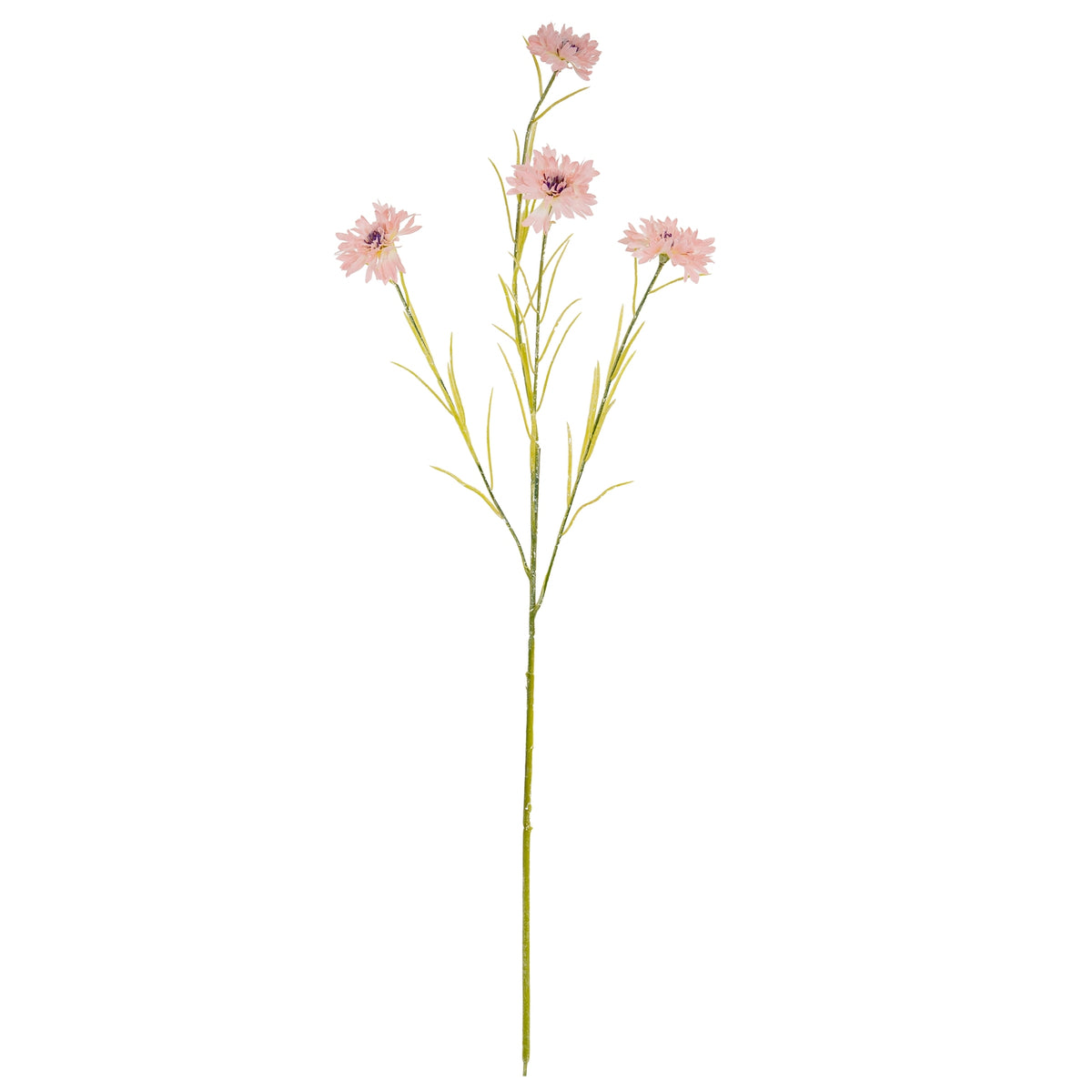 Pink Cornflower Stem image 2