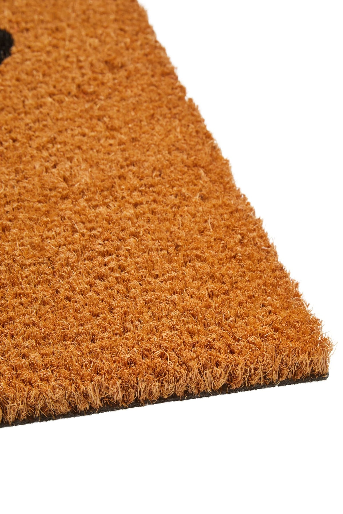 Sigurd Bee Coir Doormat image 3