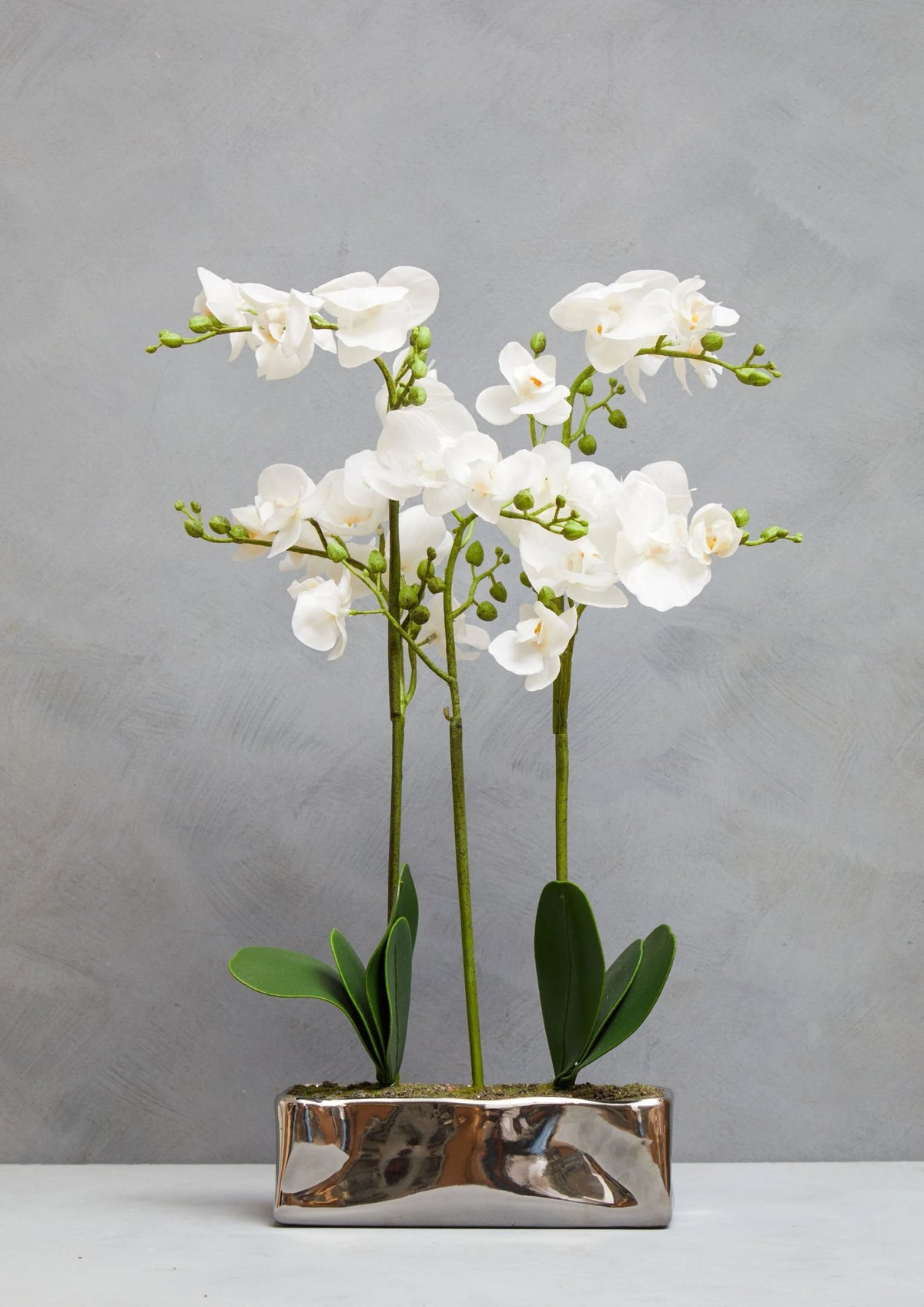 Gjovik White Orchid Plant Rectangular Pot