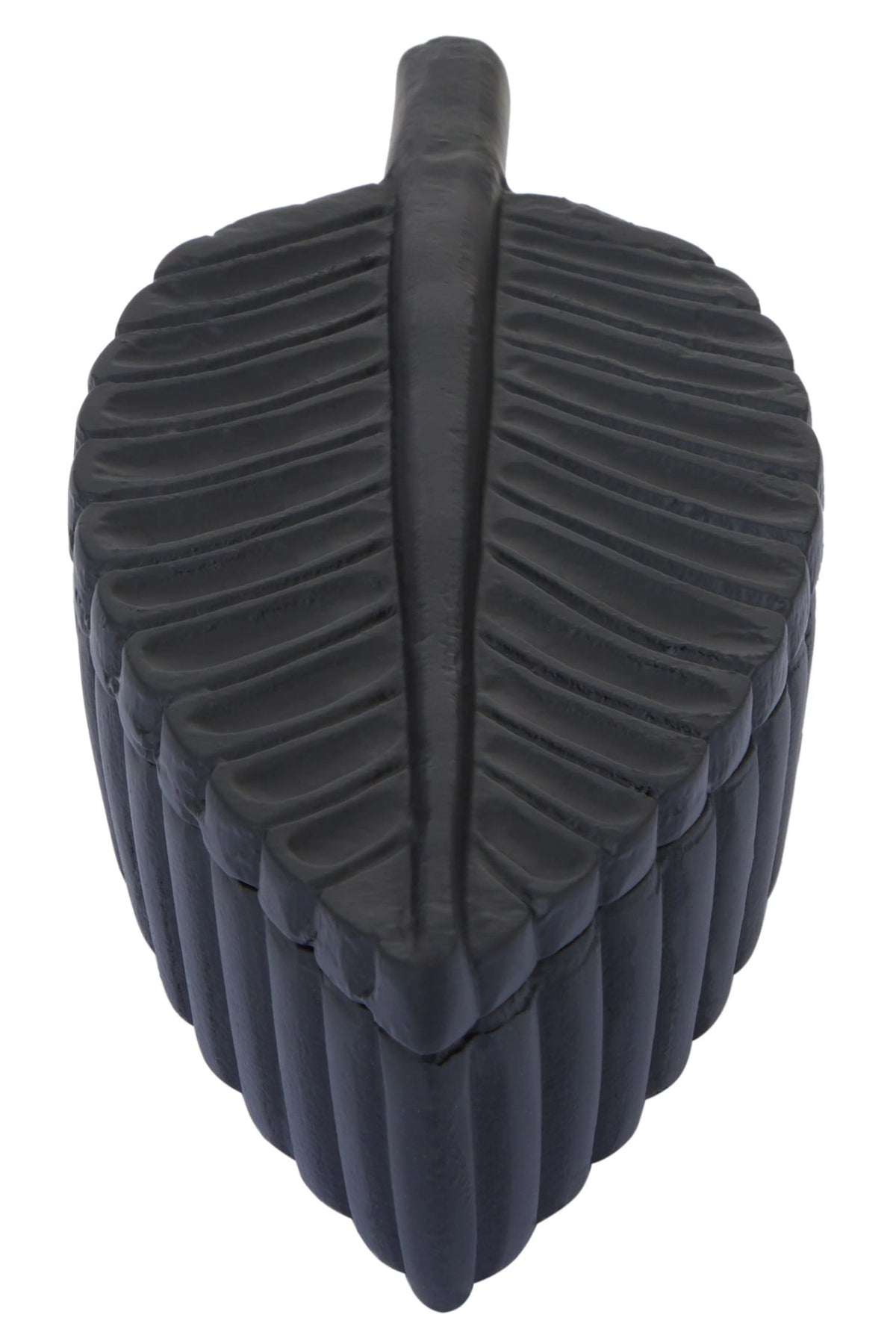 Mivath Black Plume Box image 4
