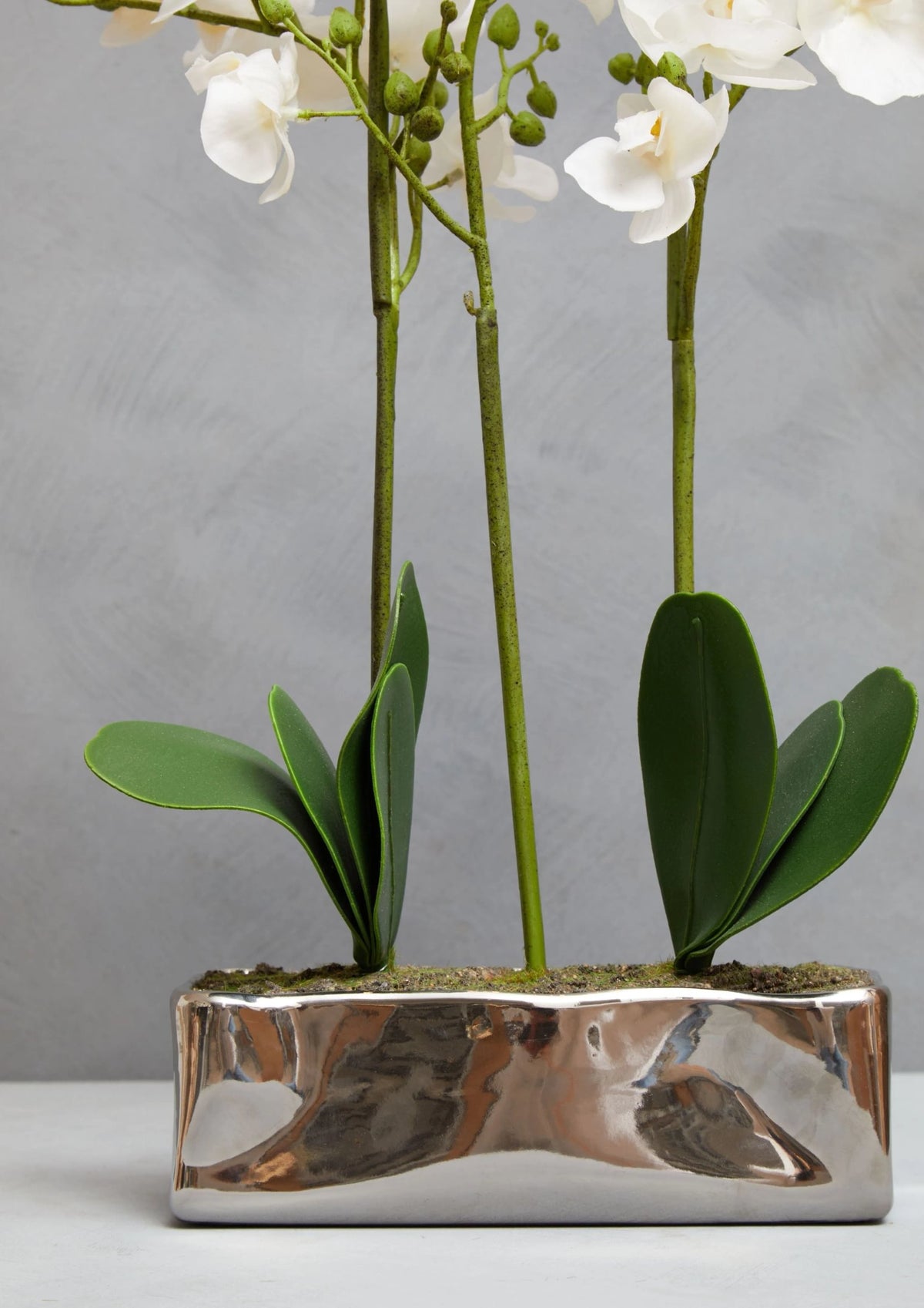 Gjovik White Orchid Plant Rectangular Pot