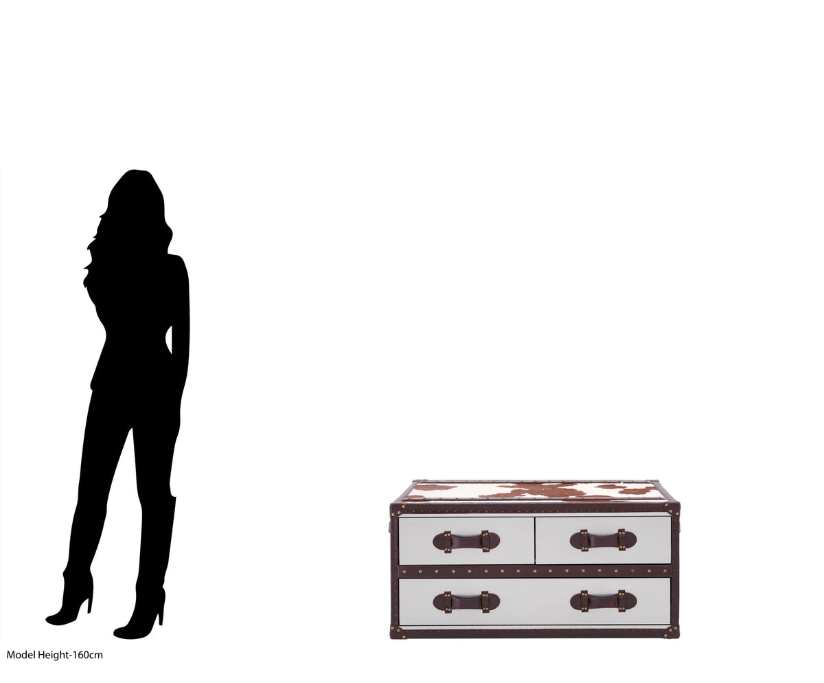 Tentera Brown White Hair-on Coffee Table image 4