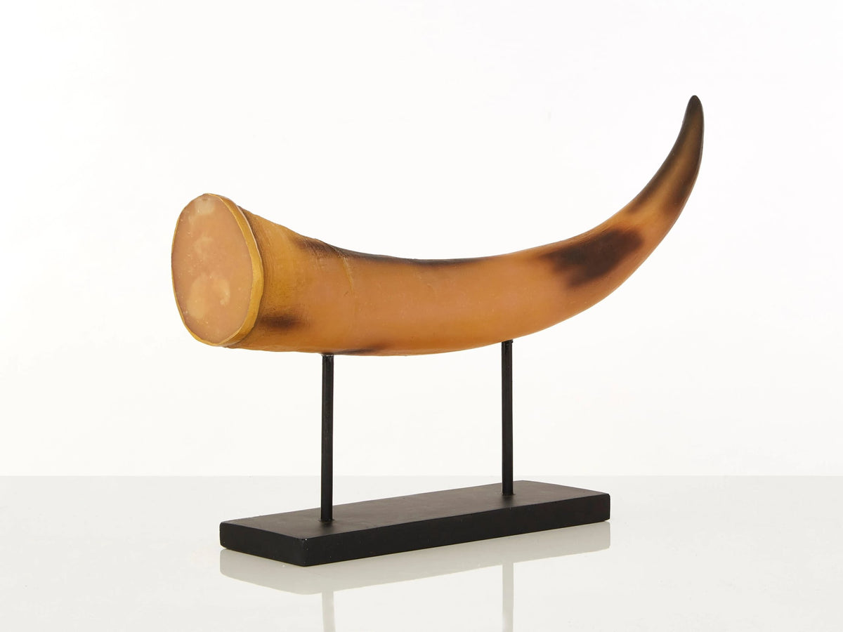Brelwyn Large Natural Horn Ornament