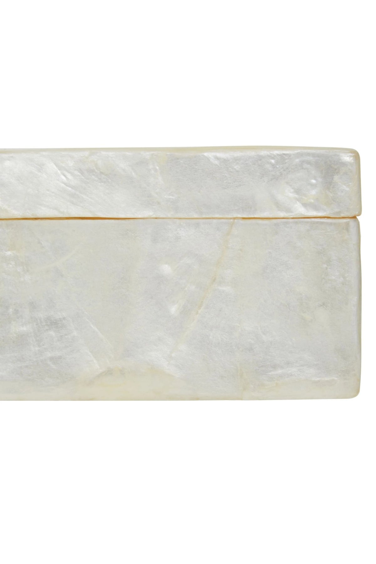 Putnora White Sea Shell Tissue Box image 6