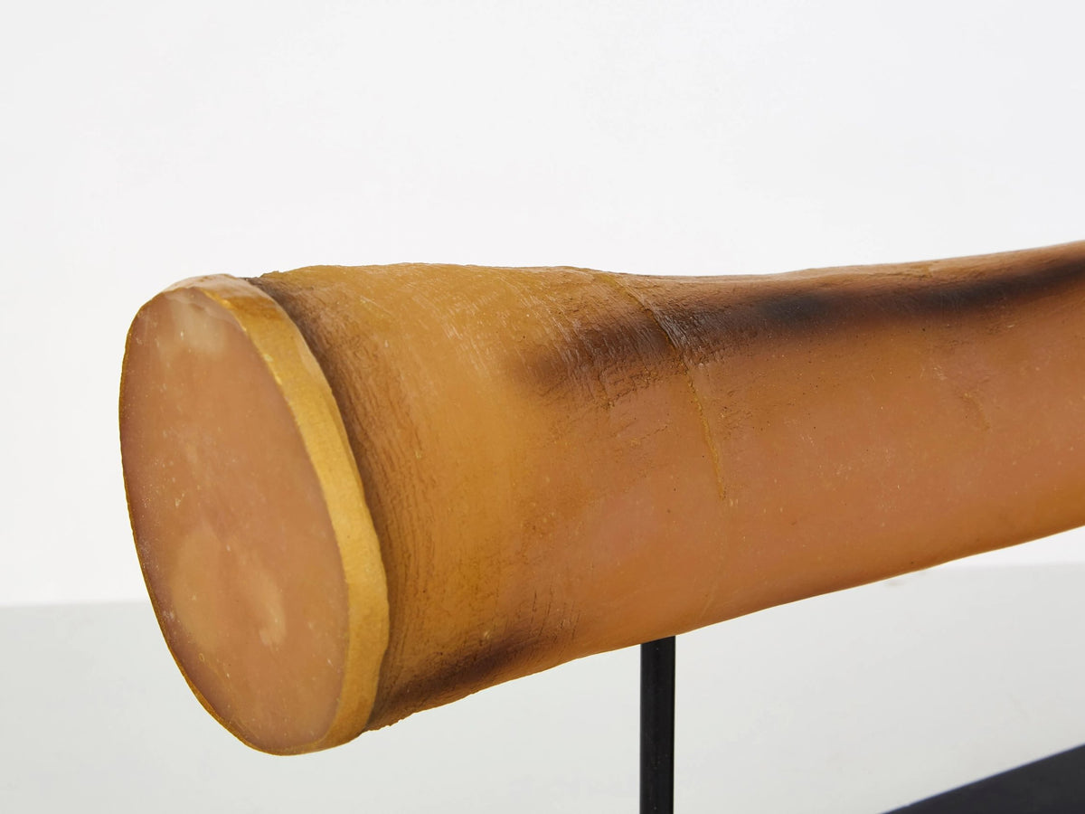 Brelwyn Large Natural Horn Ornament