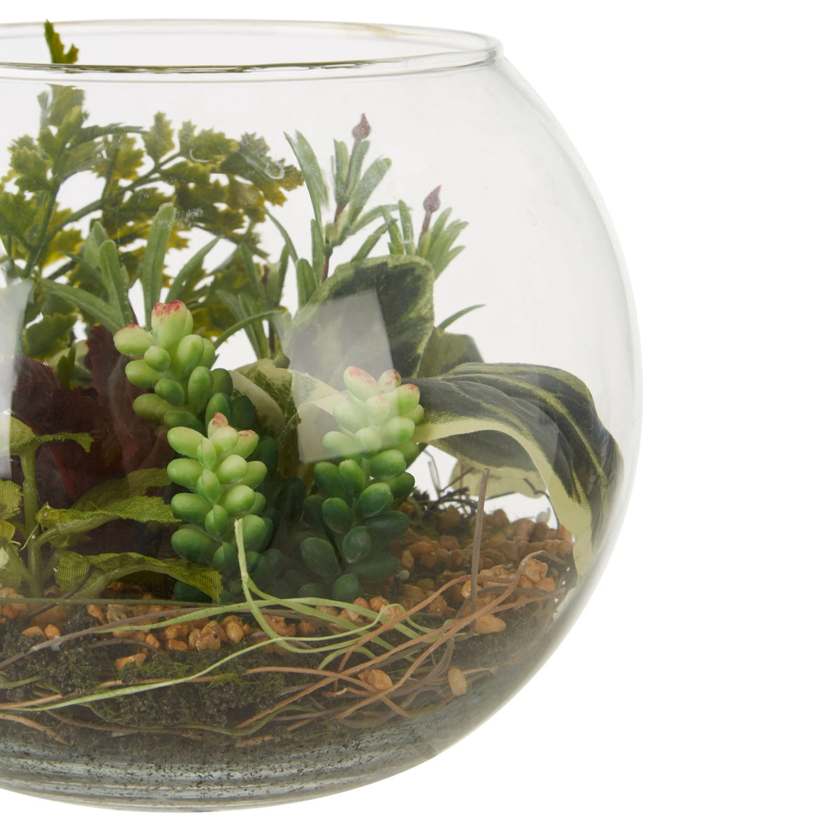 Agropoli Large Terranium