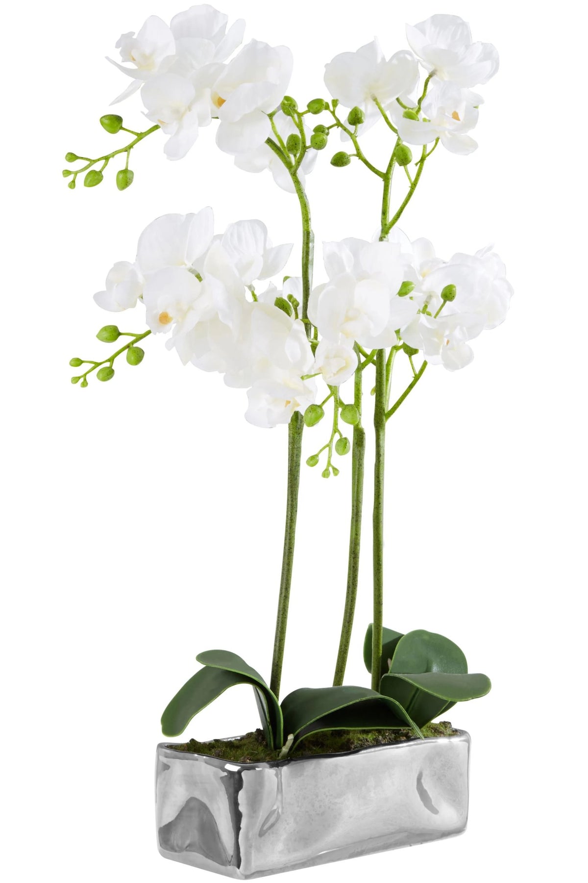 Gjovik White Orchid Plant Rectangular Pot