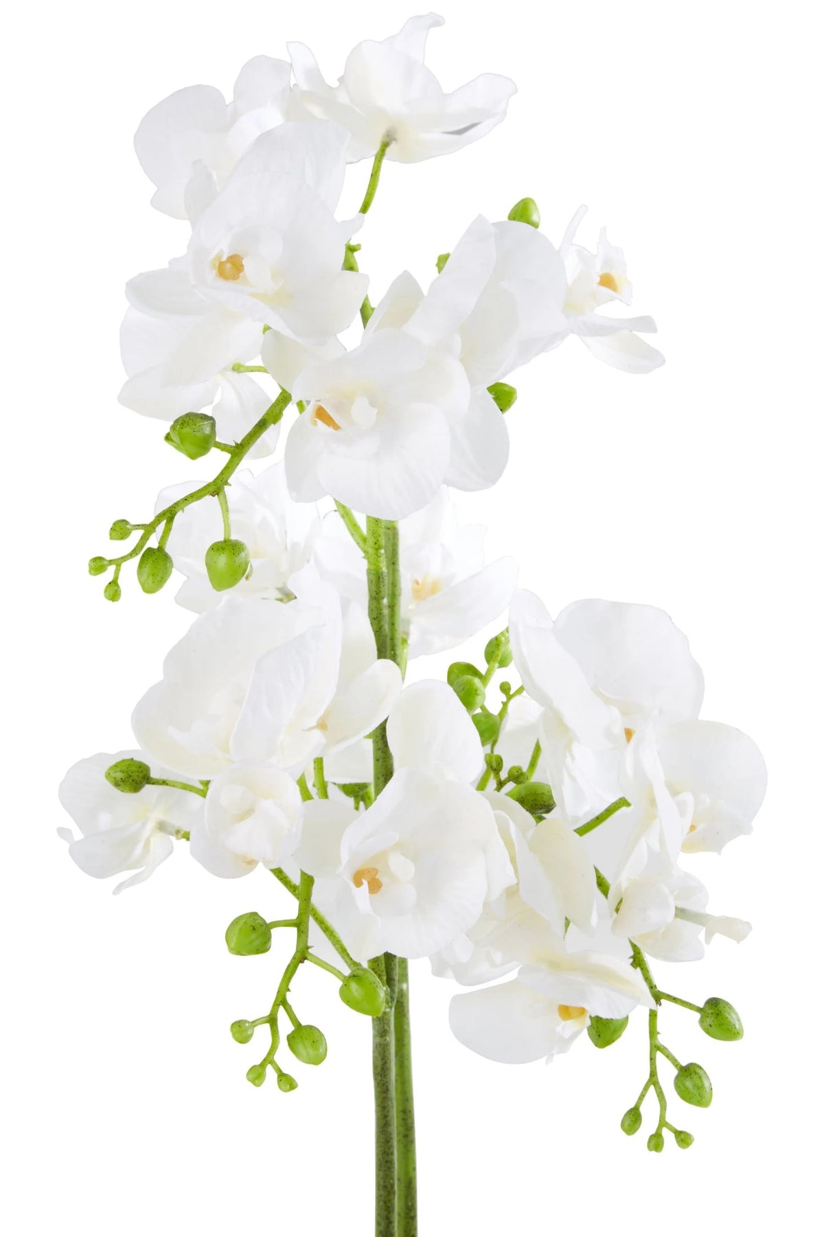 Gjovik White Orchid Plant Rectangular Pot