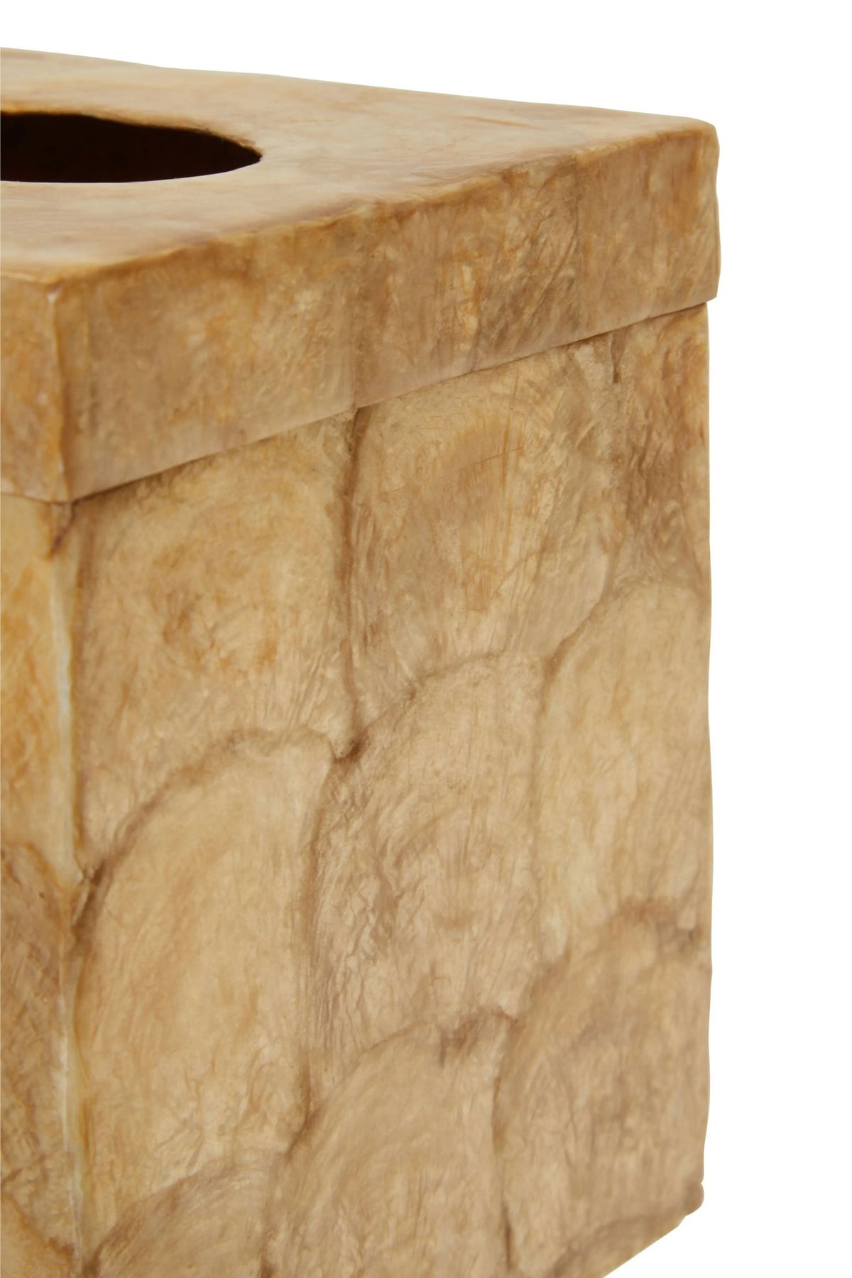 Edolo Beige Seashell Square Tissue Box image 7