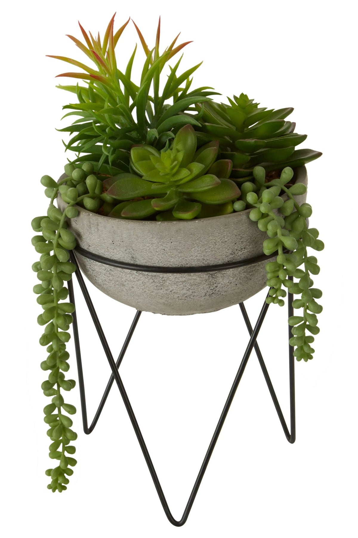 Gavelle Mixed Succulent Metal Stand