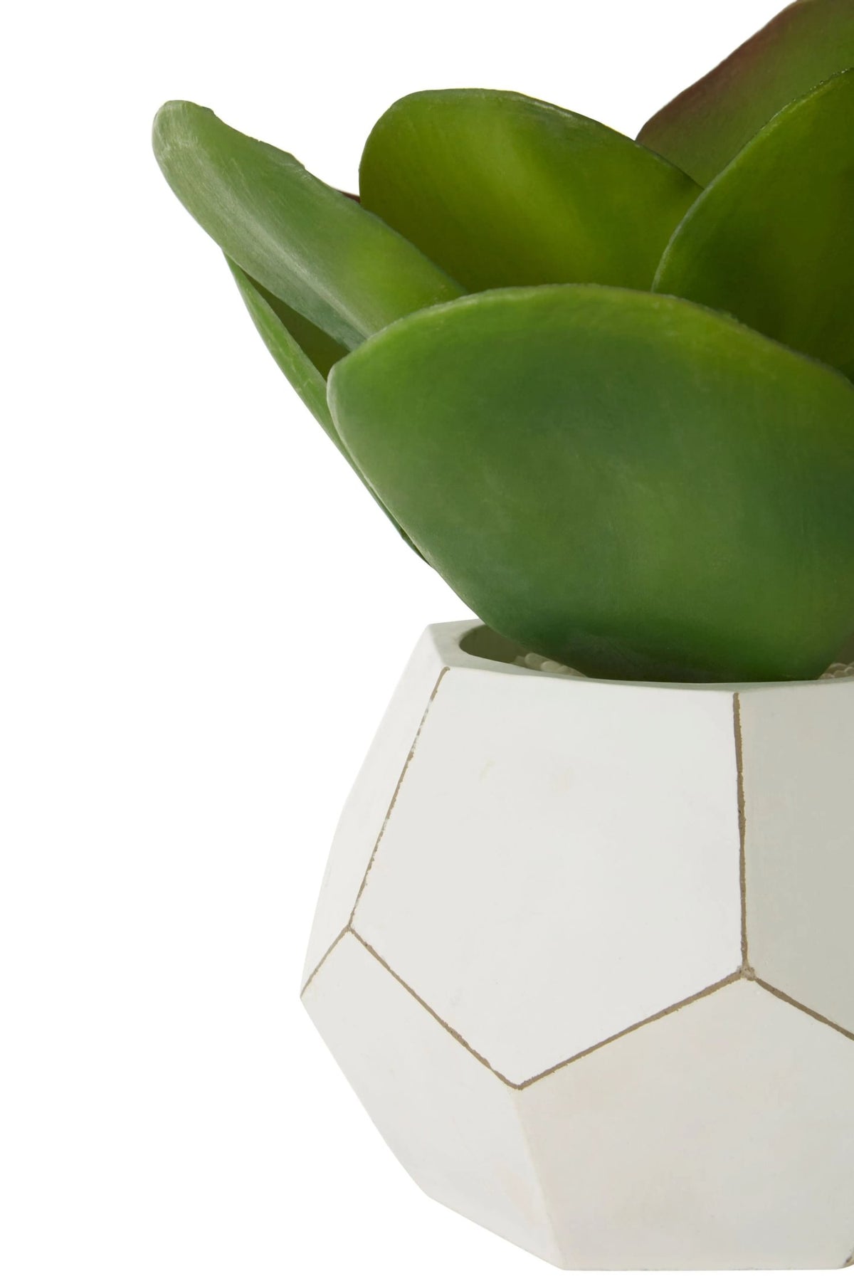 Margate White Cement Pot Succulent