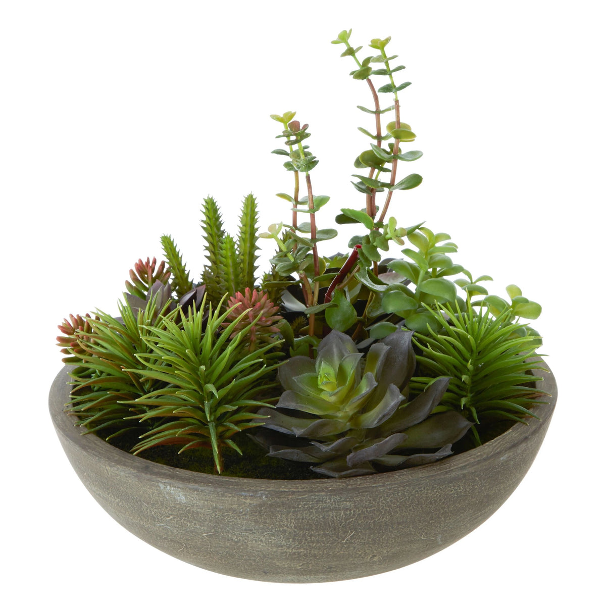 Froya Mixed Succulent Stone Pot