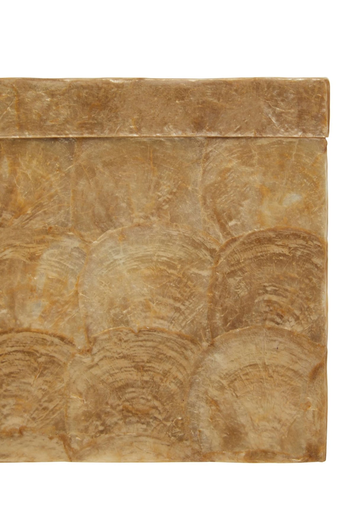 Edolo Beige Seashell Square Tissue Box image 5