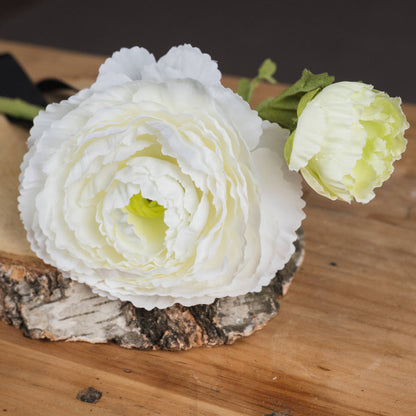 White Ranunculus Spray image 3