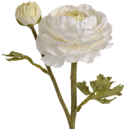 White Ranunculus Spray image 4