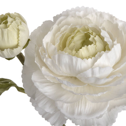 White Ranunculus Spray image 5
