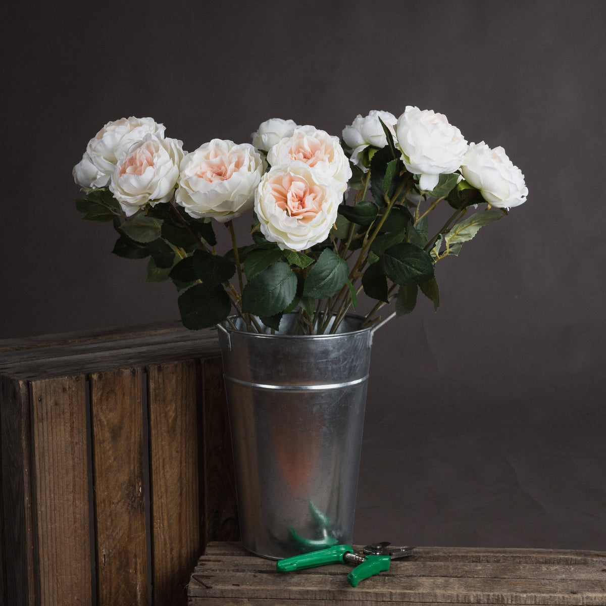 Blush Garden Rose image 1