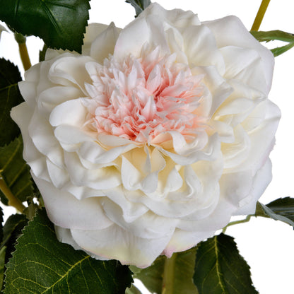 White Garden Rose Spray image 5