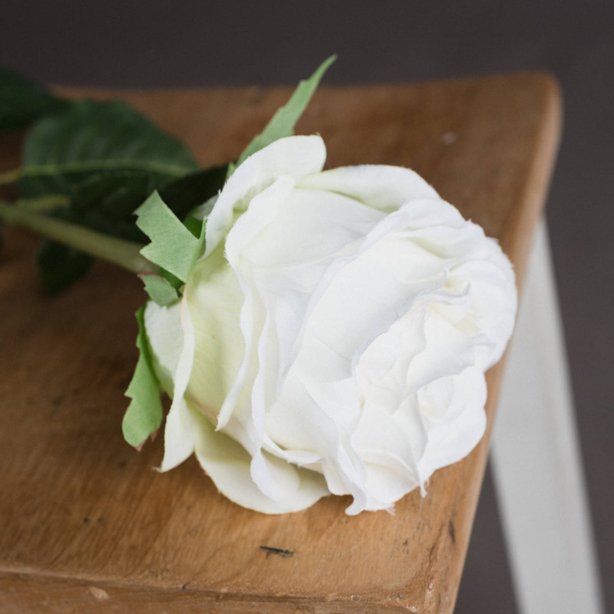Traditional White Rose image 3