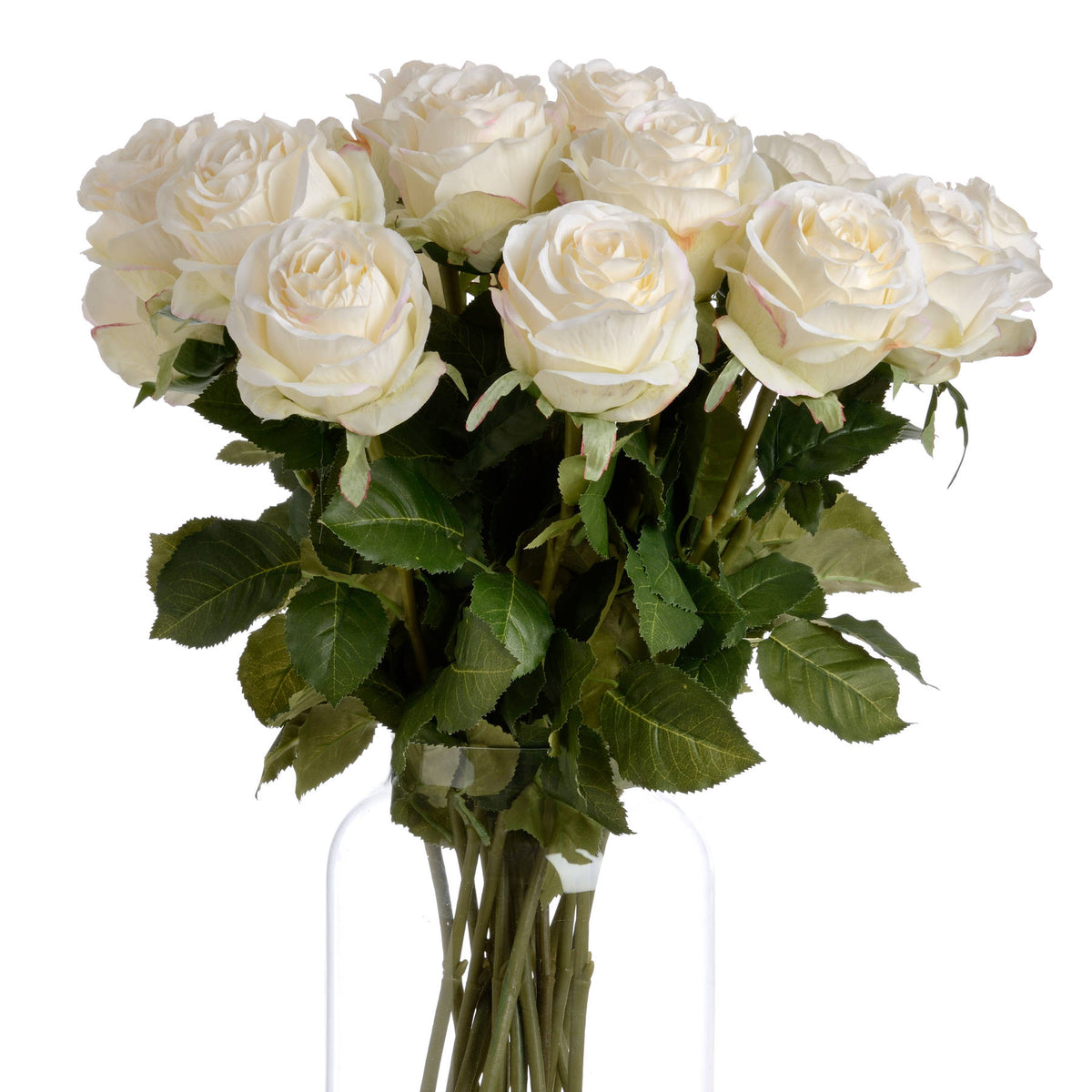 Traditional White Rose image 4