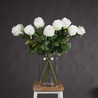 Traditional White Rose image 1