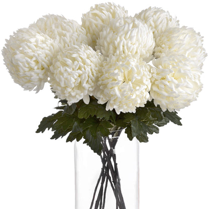 Large White Chrysanthemum image 3