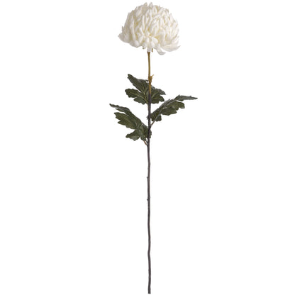 Large White Chrysanthemum image 4
