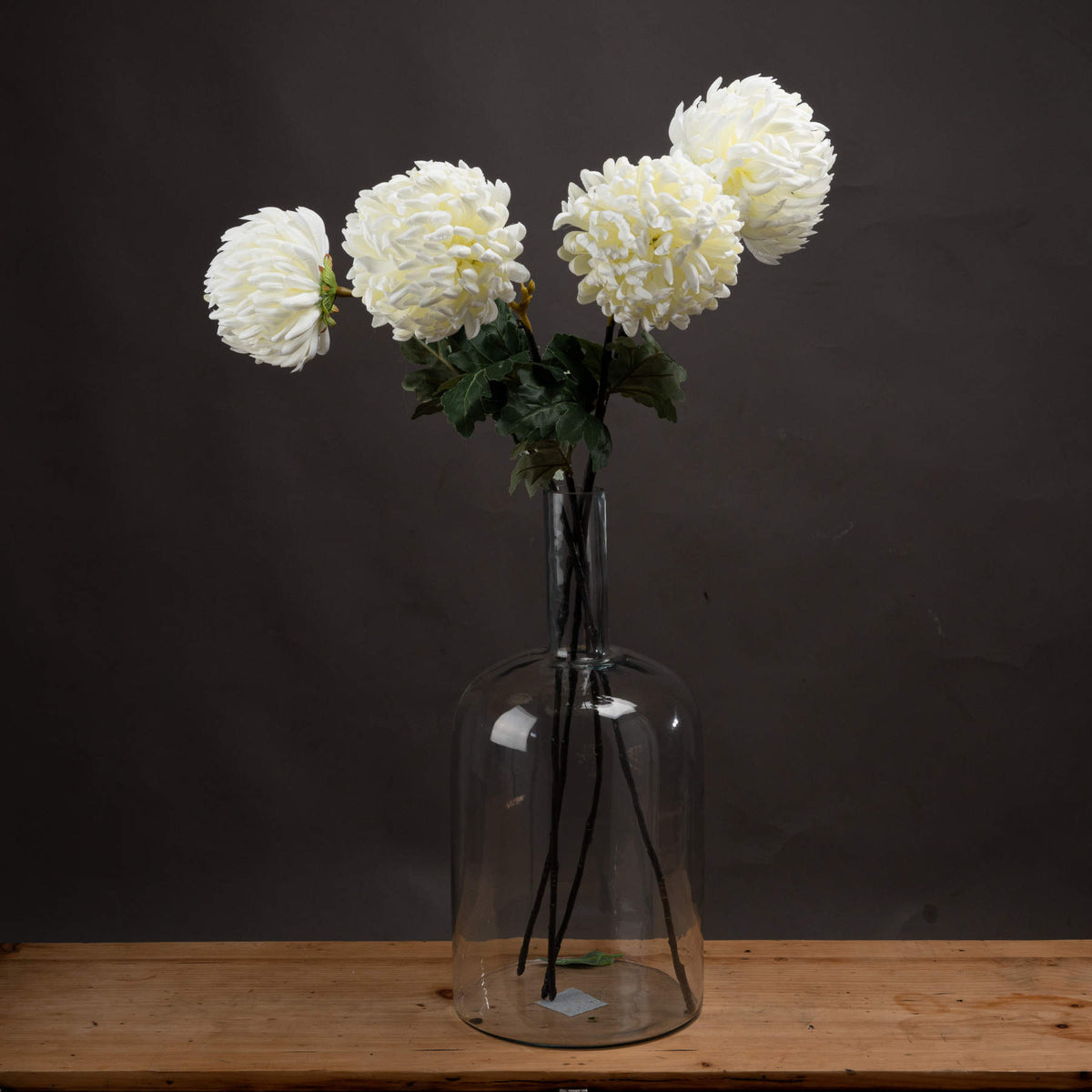 Large White Chrysanthemum image 1