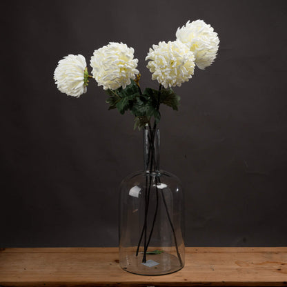 Large White Chrysanthemum image 1