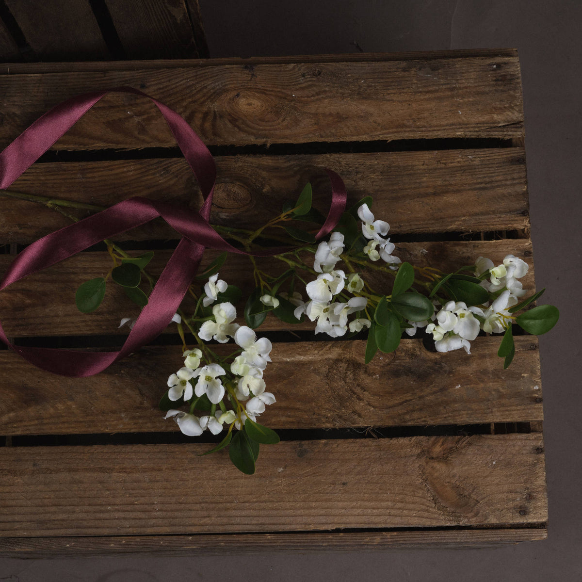 White Spring Mock Orange Flower image 2