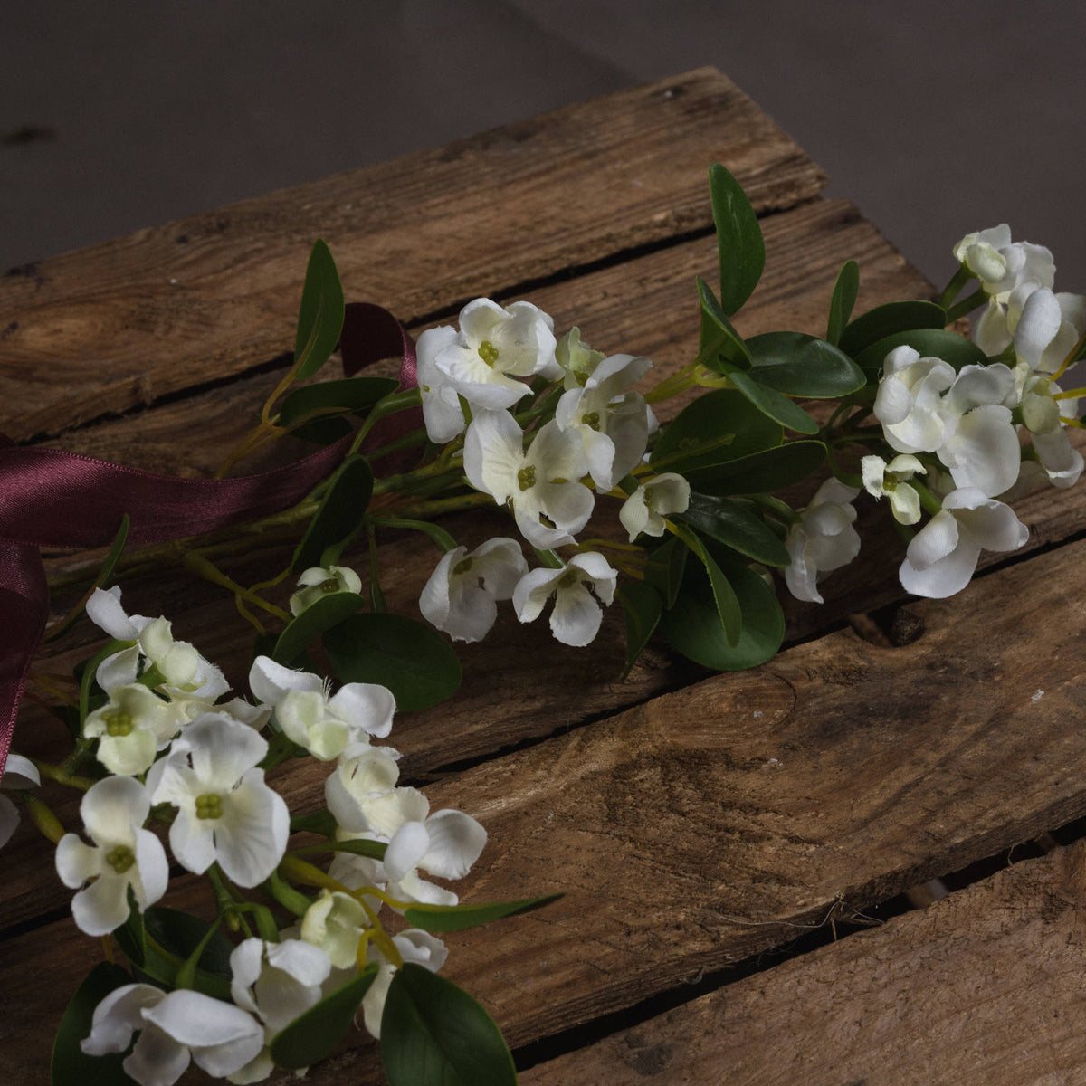 White Spring Mock Orange Flower image 3