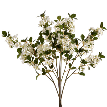 White Spring Mock Orange Flower image 4