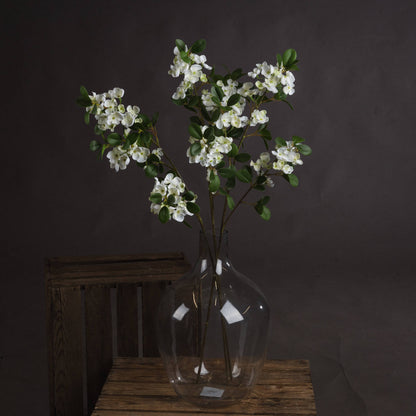 White Spring Mock Orange Flower image 1