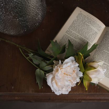 White Fashion Peony image 2