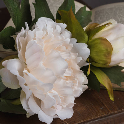 White Fashion Peony image 3