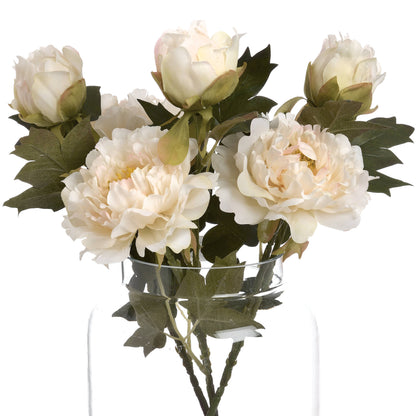 White Fashion Peony image 4