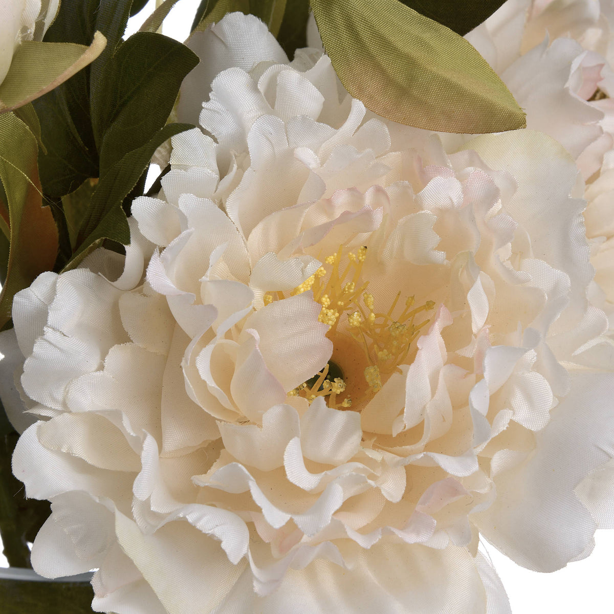 White Fashion Peony image 5