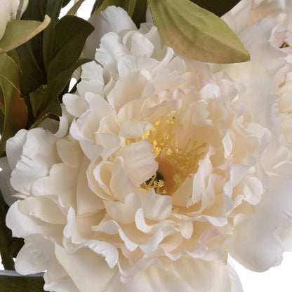 White Fashion Peony image 5