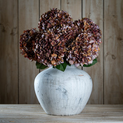 Autumn Coffee Hydrangea image 3