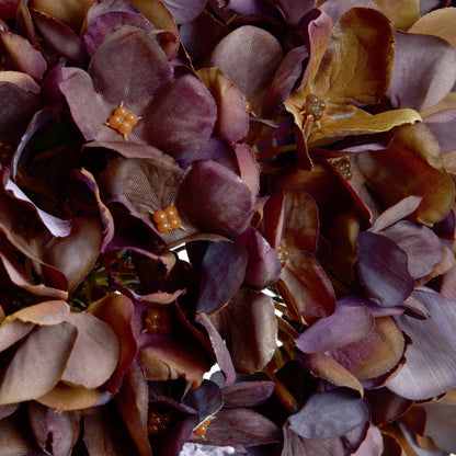 Autumn Coffee Hydrangea image 5