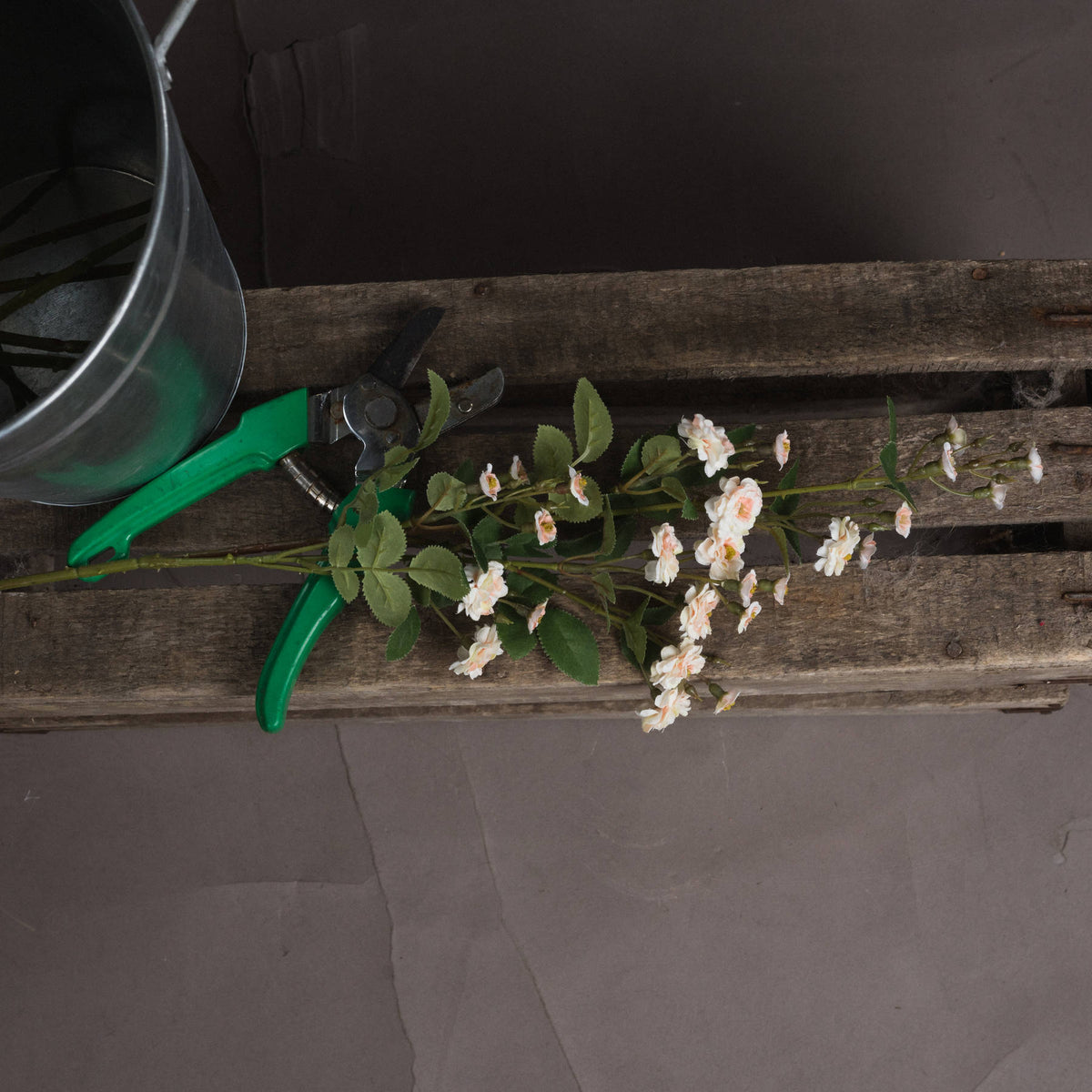 Cream Wild Meadow Rose image 2