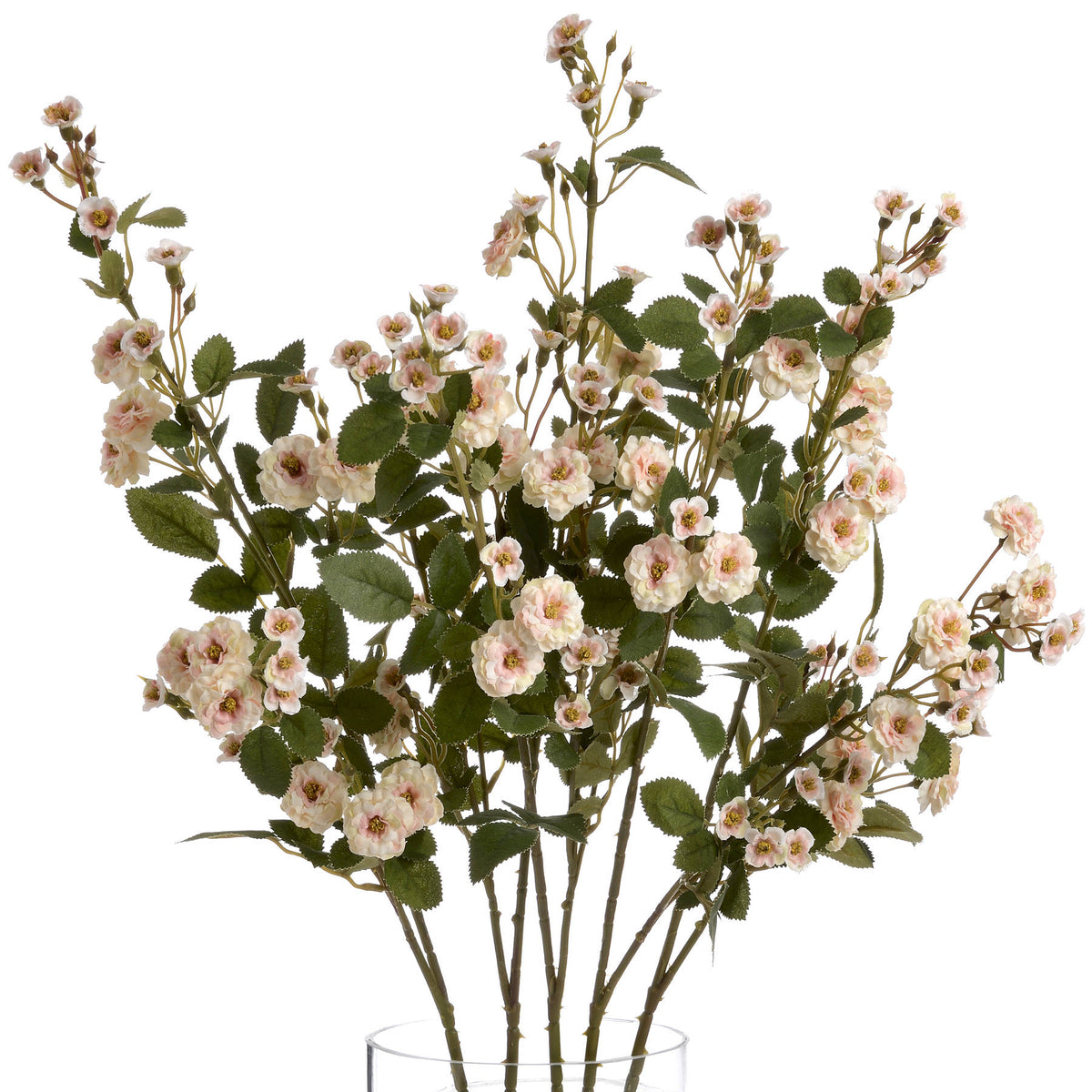 Cream Wild Meadow Rose image 4